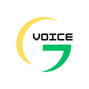 BUY GOOGLE VOICE ACCOUNTS